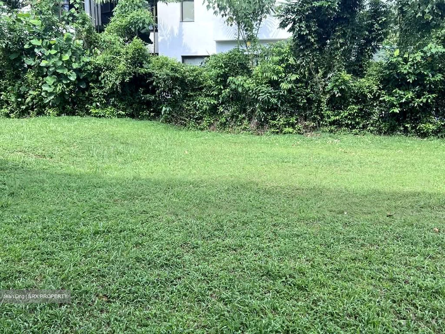 Chancery Lane (D11), Detached #572652761